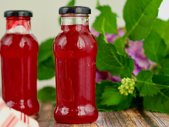 Domácí rybízový sirup