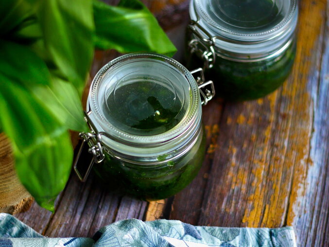 Domácí pesto z medvědího česneku